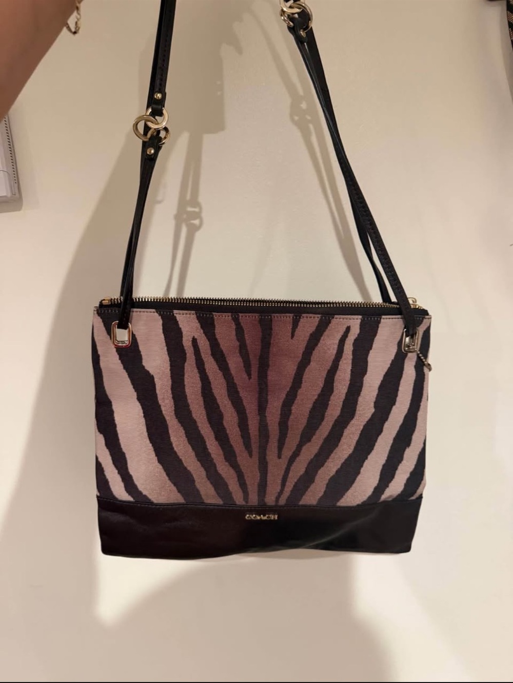 Coach Zebra-Stripe Crossbody Bag in Brown and Black